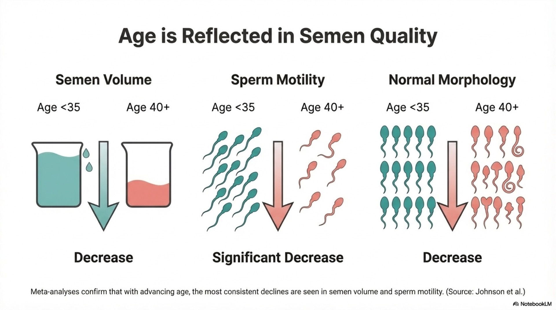 Paternal Age and Pregnancy Risk – slide 6