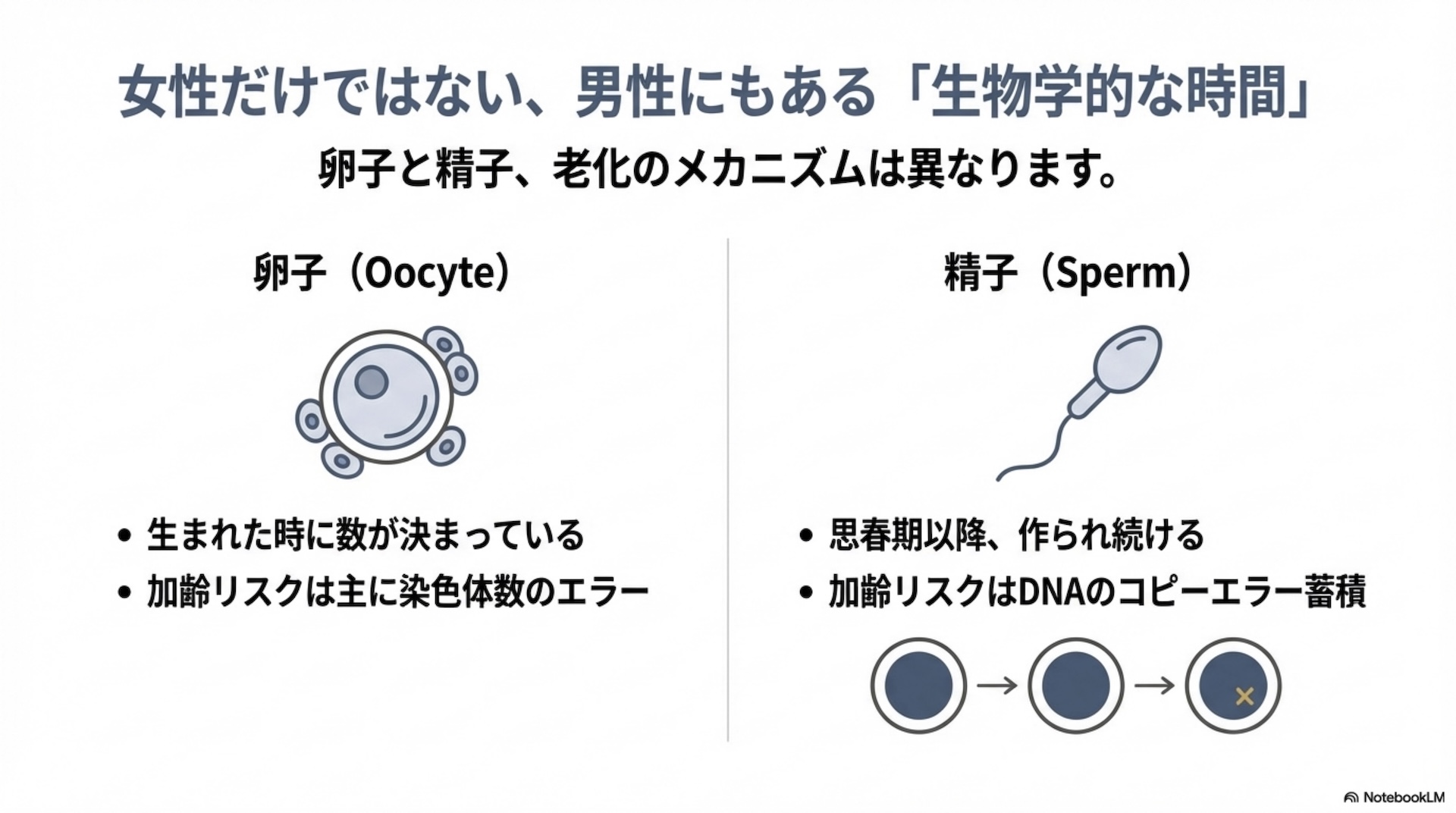 男性の年齢と妊娠 スライド3