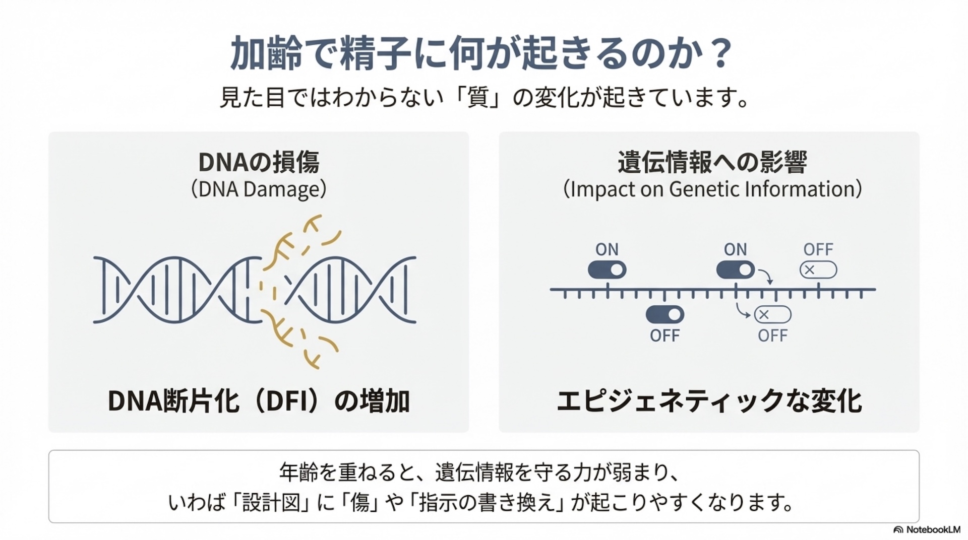 男性の年齢と妊娠 スライド4
