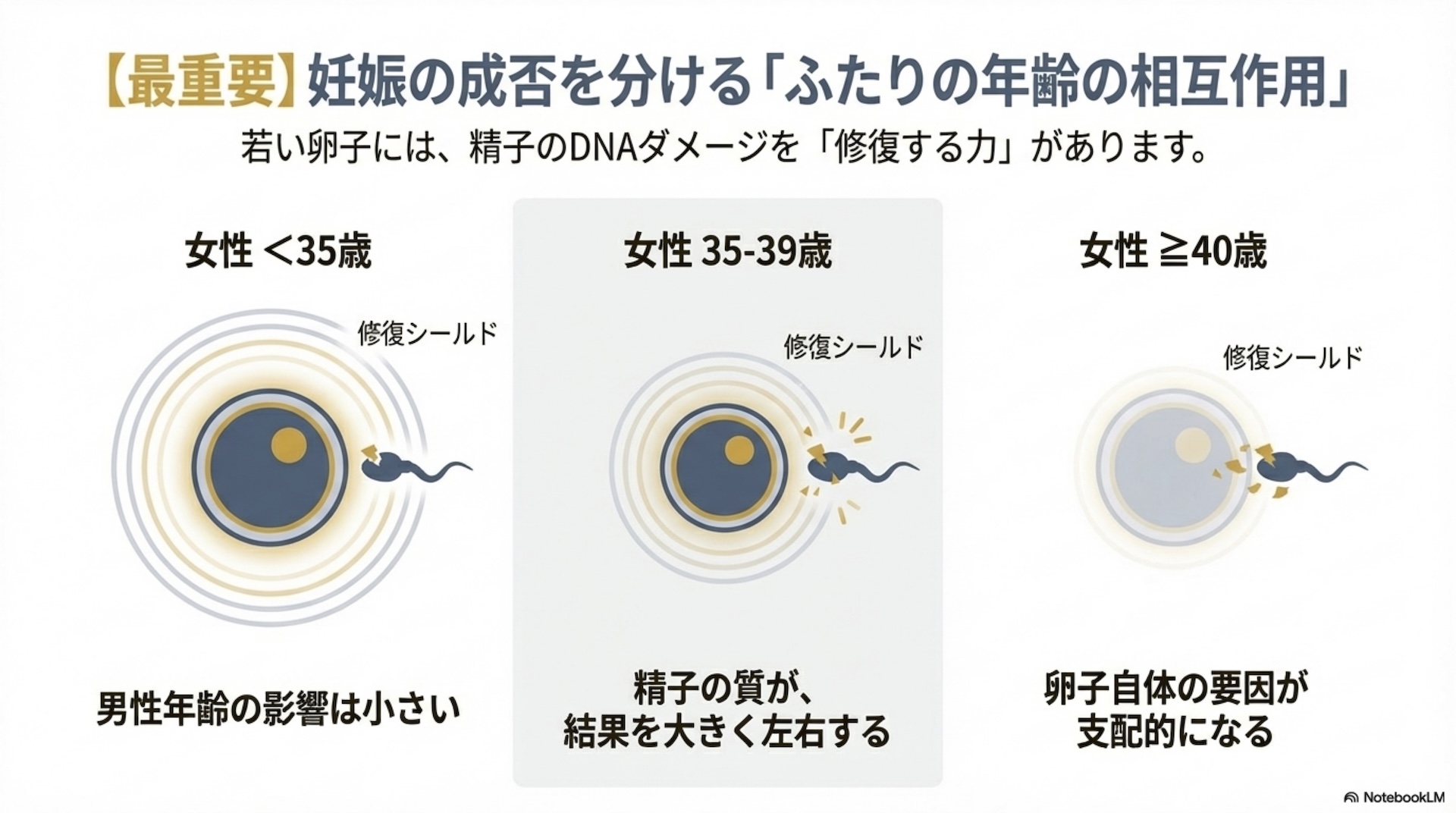 男性の年齢と妊娠 スライド6